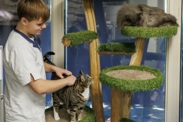 Siem - dierverzorger kattenhotel Culemborg