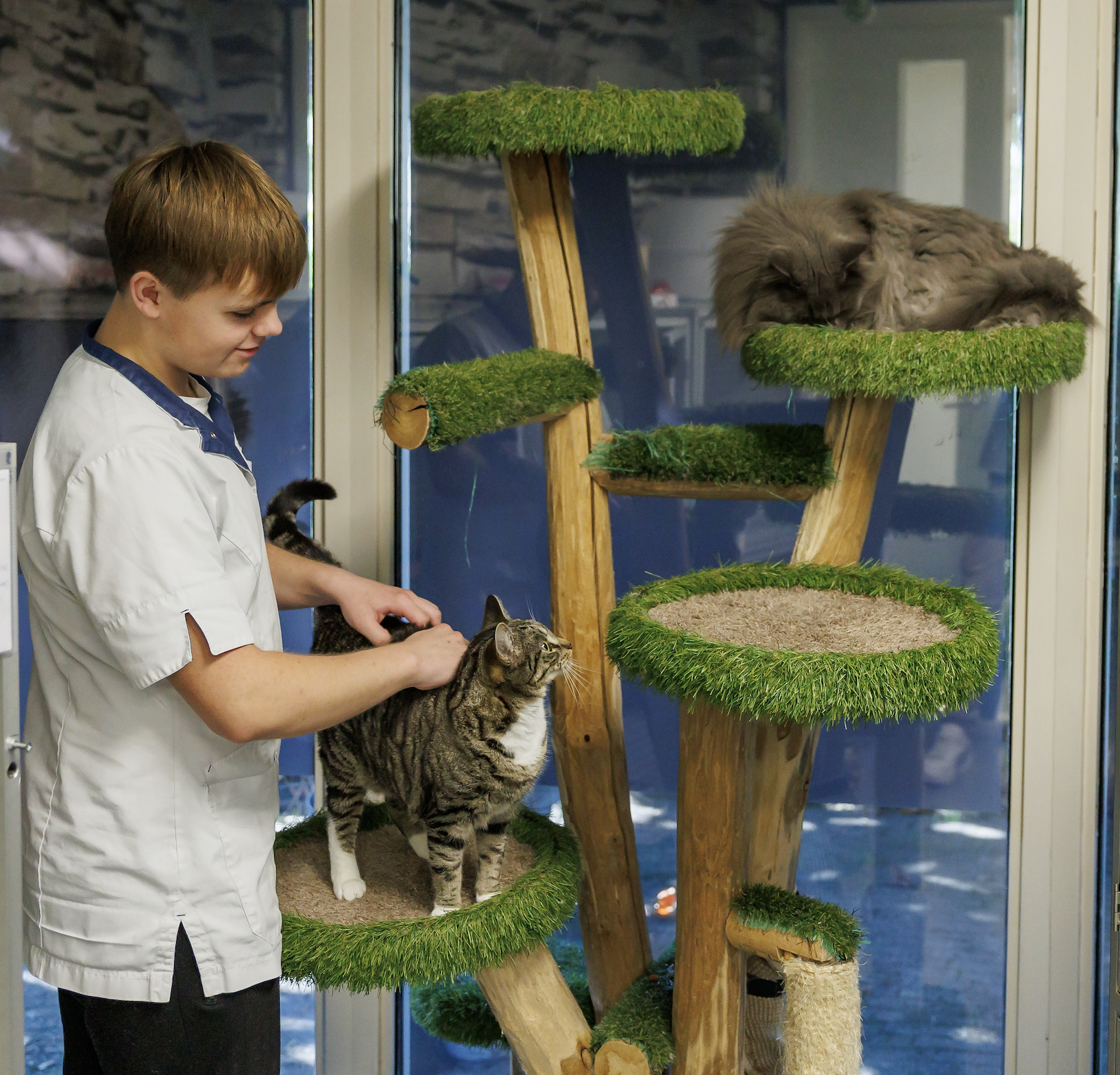 Siem - dierverzorger kattenhotel Culemborg