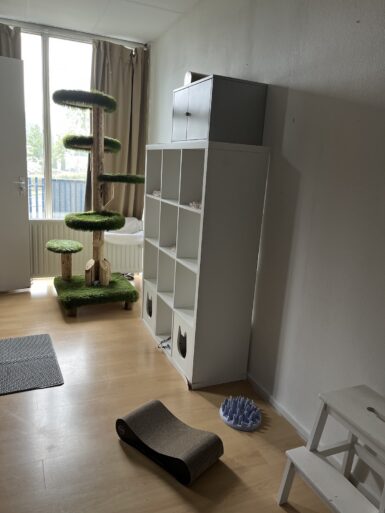 Familiekamer kattenhotel